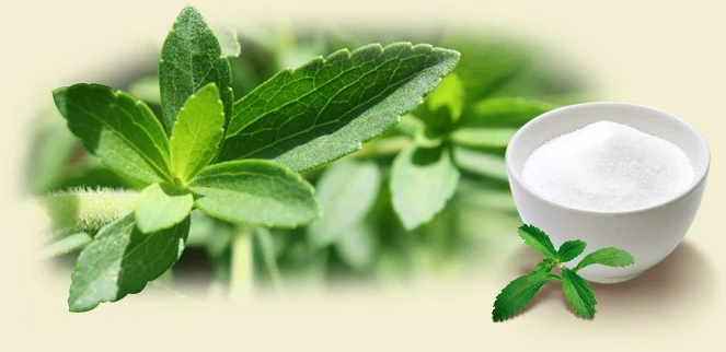 Organické Brasil Stevia